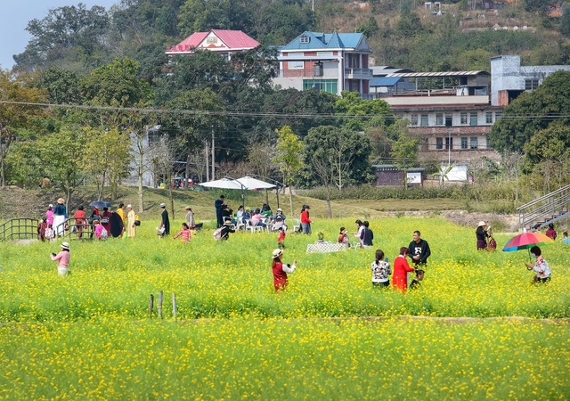 广西：乡村游 享春光