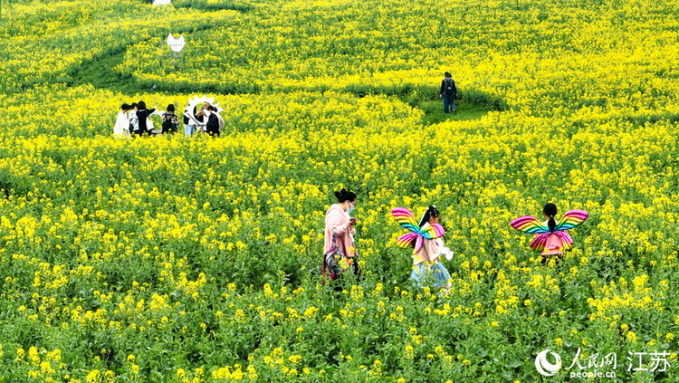 江苏：“赏花经济”活力旺