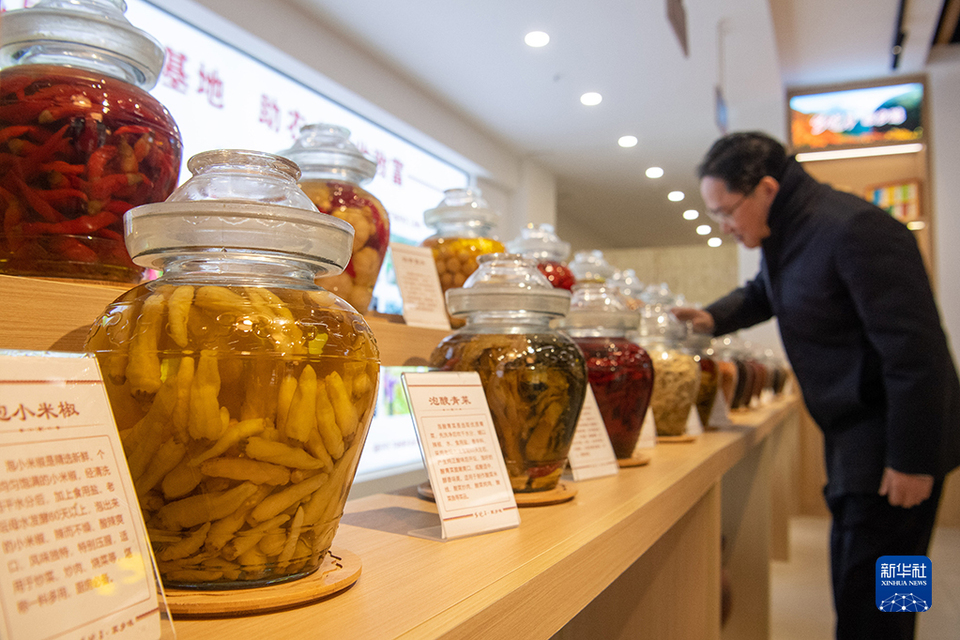 【城市远洋】“有诗有橙有远方”——“诗橙”奉节走出农文旅绿色蝶变新路