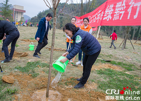 植树节种下2000株树苗  为校园添新绿