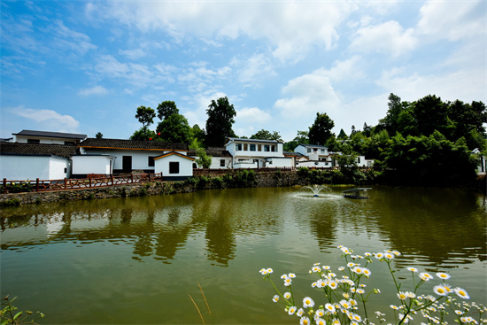 信阳新县：牢记嘱托齐奋进  乡村振兴启新程_fororder_泗店乡大畈村（泗店乡人民政府供图）