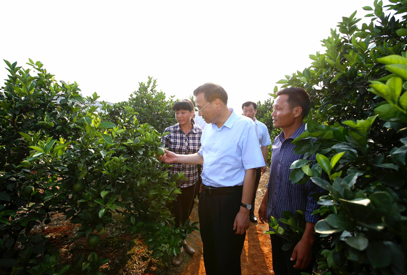 李克强考察江西赣州：打造经得起历史检验的城市地下良心工程