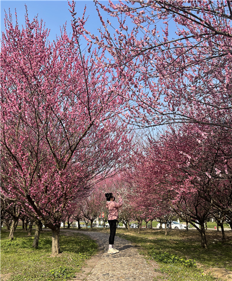 沉浸式创新解读传统文化 东南大学“梅花时节又逢君”文化雅集课堂亮相_fororder_10