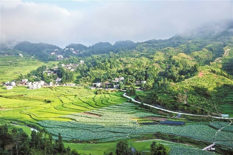 黔东南扎实推进生态文明建设—— 厚植绿色底色 提升生态颜值_fororder_中首3