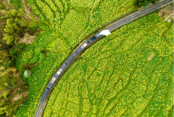 Hello Qianwei, Spring with You and Me | Silk Road Youths Board the Train Bound for Spring to Enjoy Blooming Flower Sea_fororder_图片 1