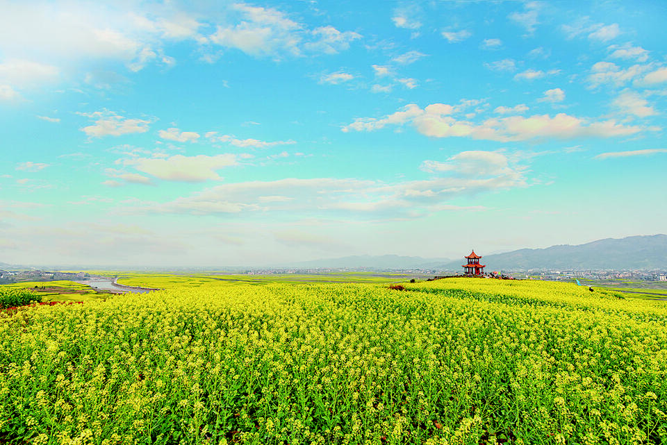 【城市远洋】重庆秀山油菜花节即将启幕