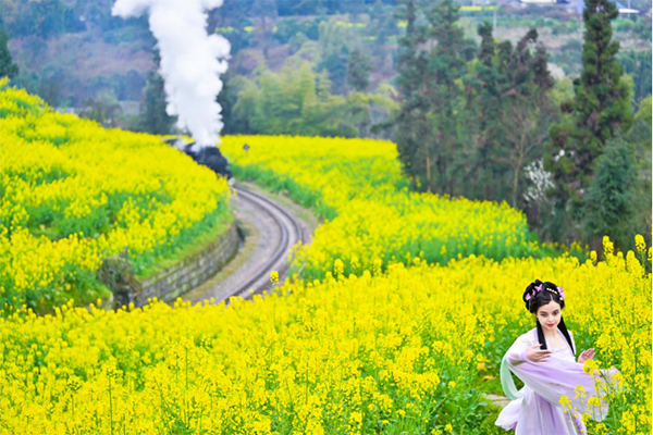 Hello Qianwei, Spring with You and Me | Silk Road Youths Board the Train Bound for Spring to Enjoy Blooming Flower Sea_fororder_图片 3