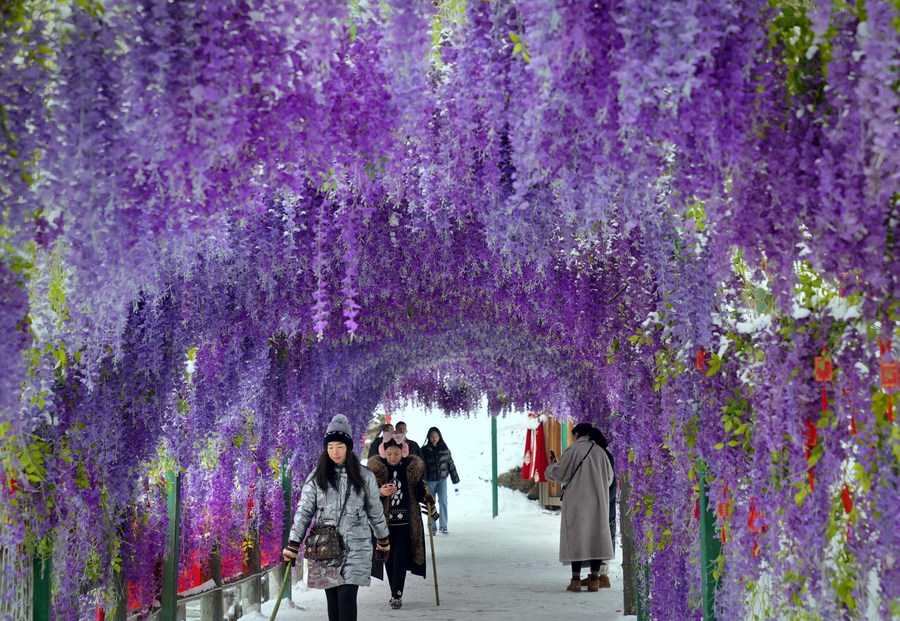 Traditional Chinese culture stimulates cultural tourism in Luoyang