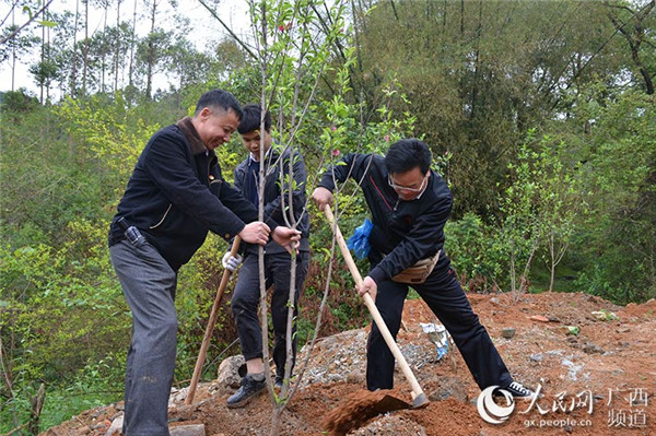 图片默认标题_fororder_植树_副本