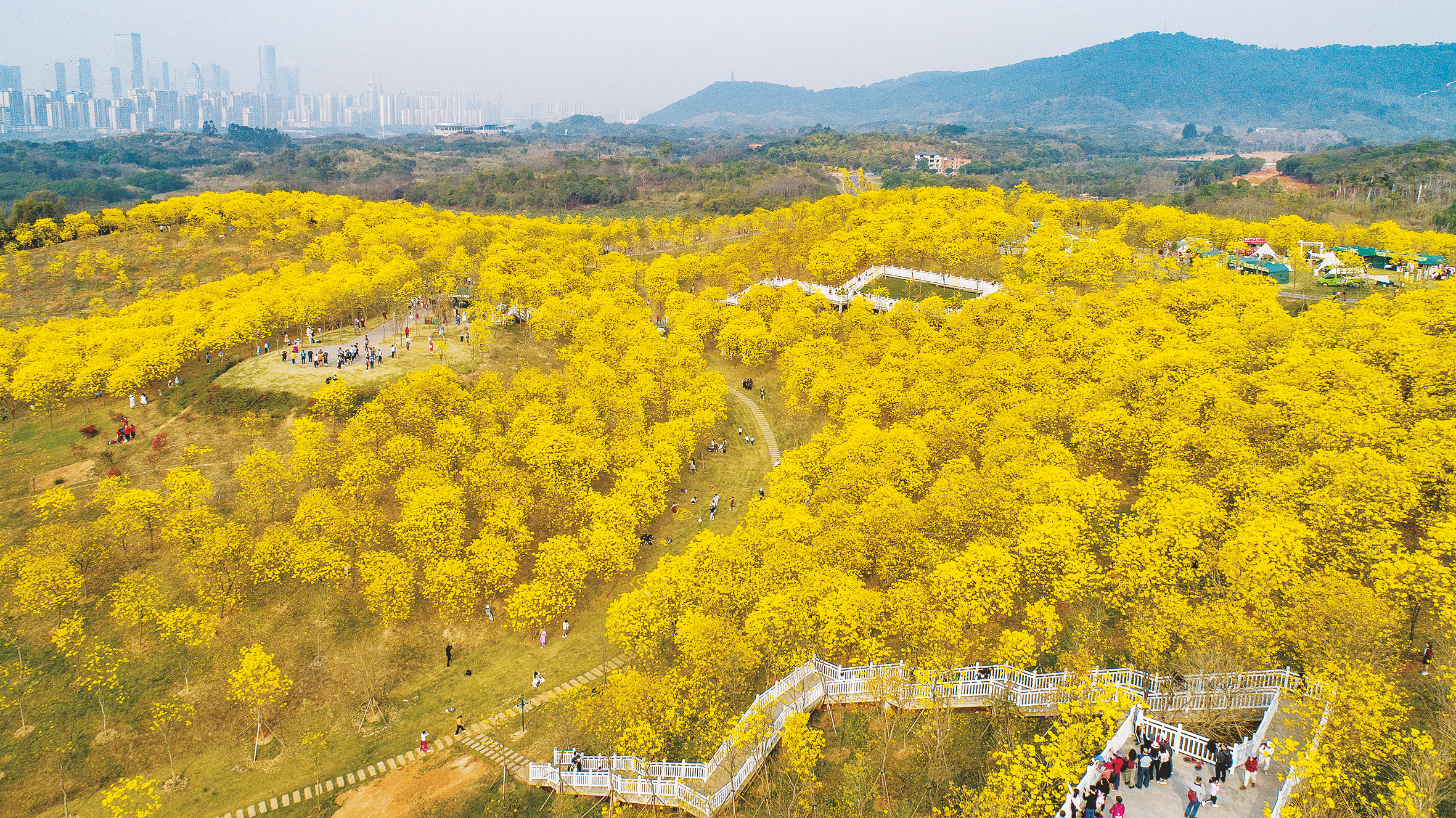 南宁市积极探索“公园+”模式构建生态美丽宜居绿城