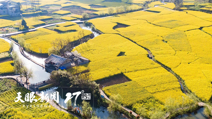 贵州：春风吹暖旅游业 春游带火“花经济”