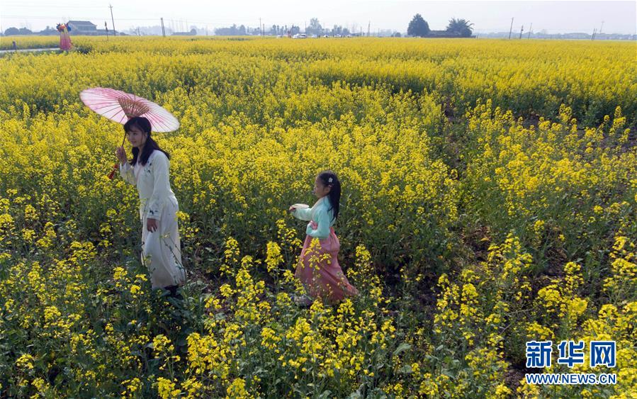 四川：以“花”为媒 实现乡村振兴