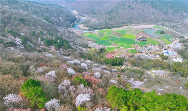 湖北荆门：春约东宝山水间 古道秘境受热捧_fororder_图片2