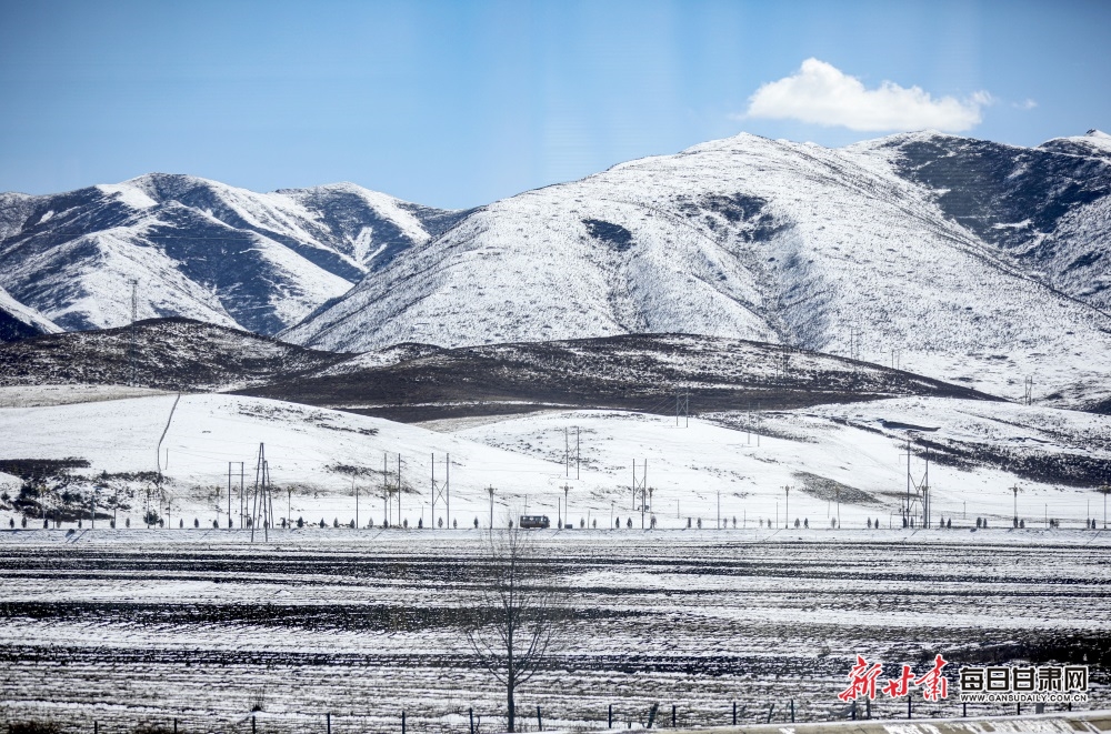 【轮播图】甘南：初春的碌曲草原无处不是风景_fororder_5