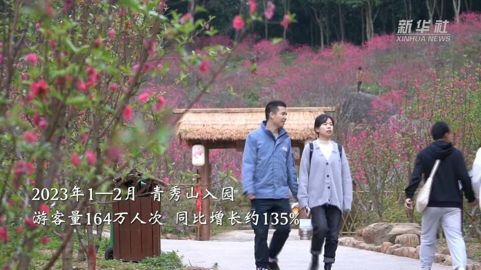 广西：向春而行 “赏花经济”持续升温