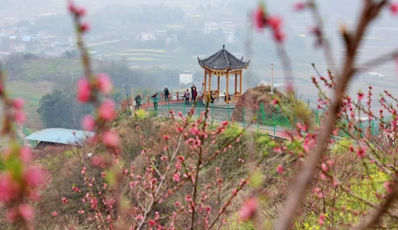 【原创】重庆合川区肖家镇首届赏花节开幕_fororder_微信图片_20230310135015