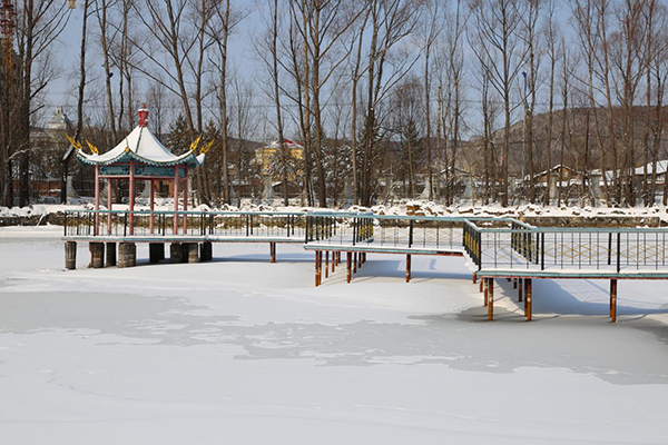 千树万树梨花开 中国最冷小镇大兴安岭呼中四月降暴雪