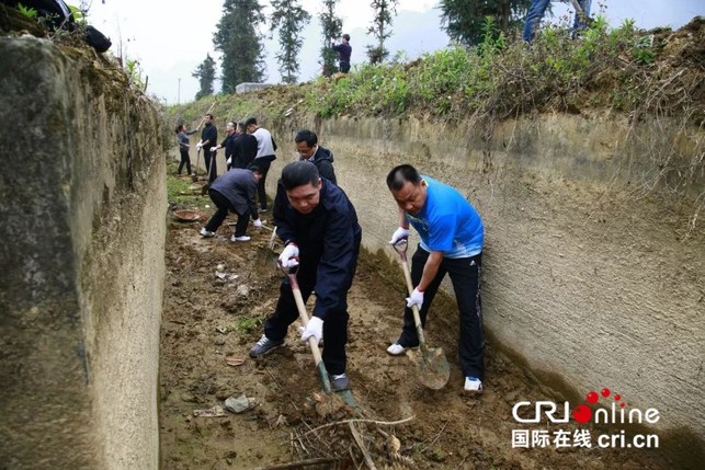 【唐已审】【供稿】【八桂大地】【移动端】【百色】广西平果县开展植树造林和冬春兴修水利活动