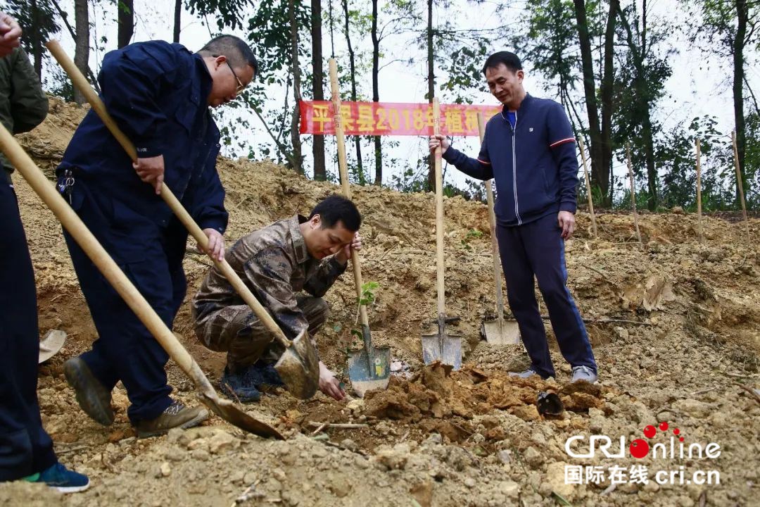 【唐已审】【供稿】【八桂大地】【移动端】【百色】广西平果县开展植树造林和冬春兴修水利活动