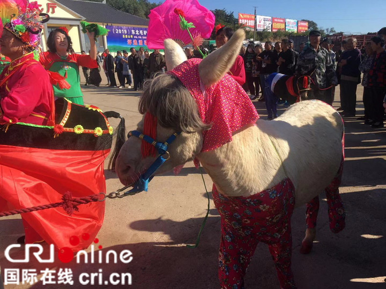 沈阳法库举办第五届驴博会暨2019中国东北毛驴文化节