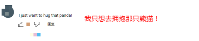 【陕耀国际·21期】陕西熊猫“七仔”海外走红 外国网友：原来熊猫真的能拍“彩色”照片