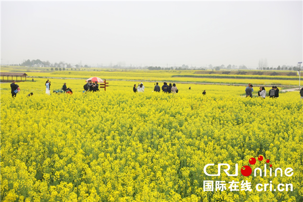 2023年湖北省油菜花节暨荆门•沙洋第十五届油菜花旅游节将于3月18日在荆门开幕_fororder_图片6