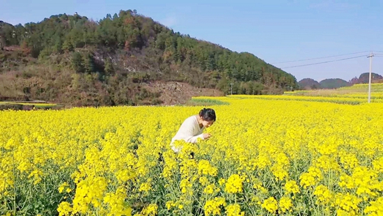 贵州瓮安：17.44万亩油菜花美不胜收_fororder_2