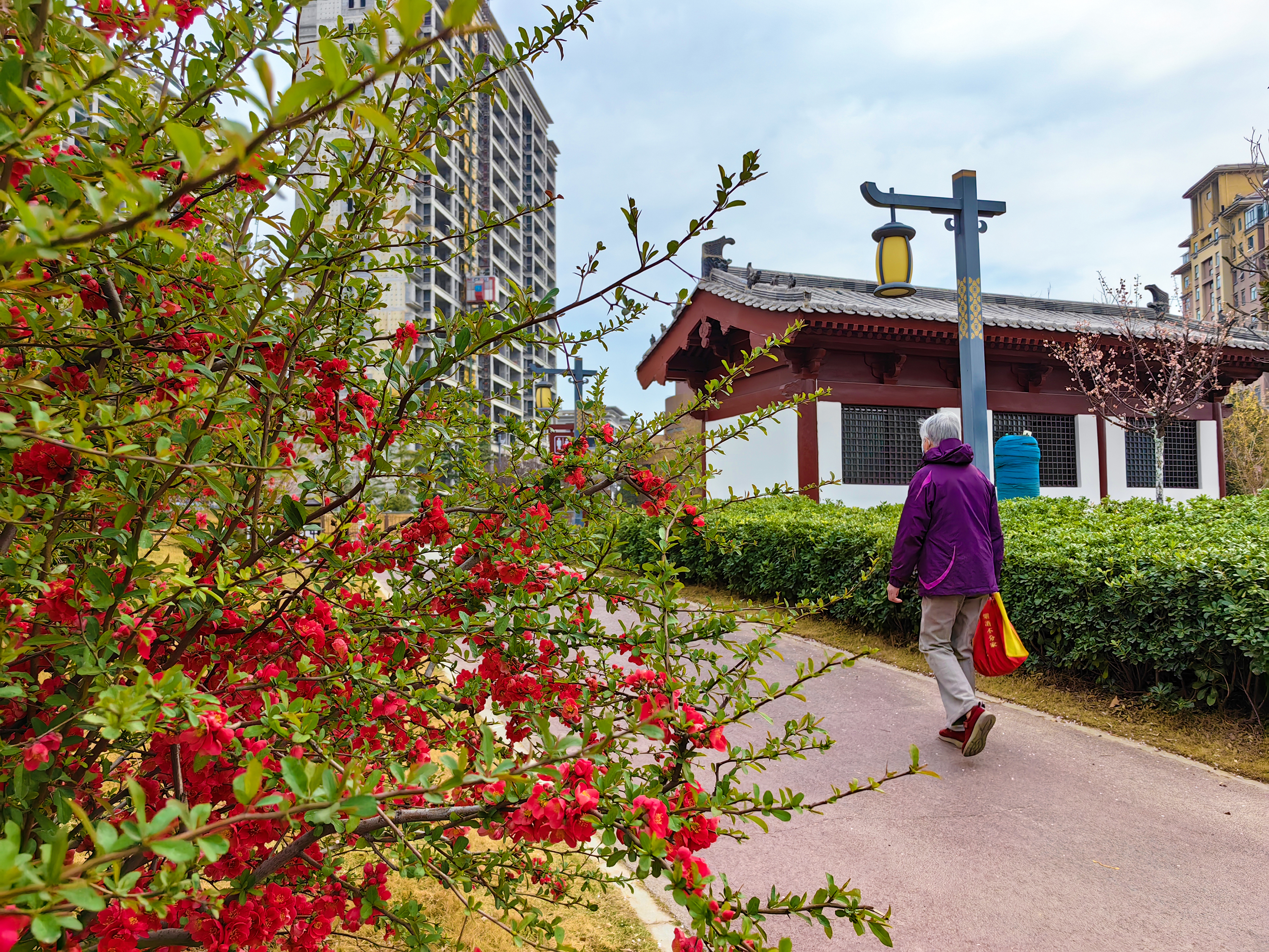 河南开封：市民乐享春日美好