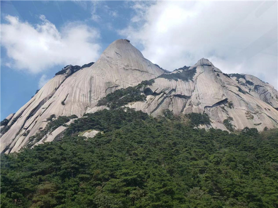 “相约天柱山 对话长三角”2023年天柱山旅游研讨会举行_fororder_图片14