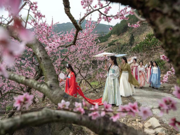 【原创】重庆奉节“鹤峰乡第十届桃花节暨消费帮扶季”系列活动开幕_fororder_图片4(1)