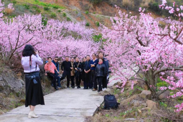 【原创】重庆奉节“鹤峰乡第十届桃花节暨消费帮扶季”系列活动开幕_fororder_图片3(1)