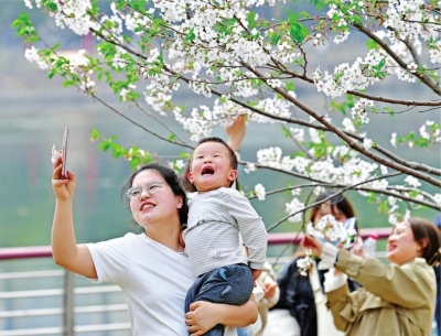 武汉：百花齐放 春色满城