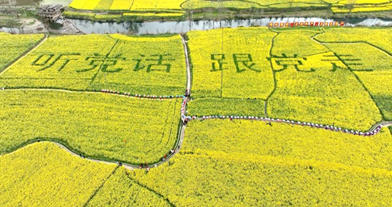 贵州麻江坝芒布依族乡举行建乡30周年庆祝活动_fororder_微信图片_20230314113133