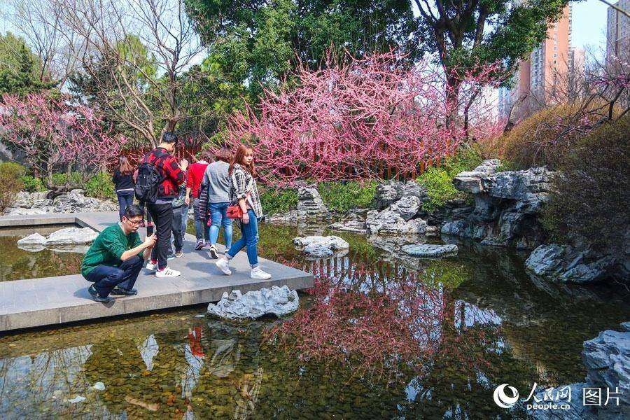 上海静安雕塑公园春花烂漫 市民踏春赏花乐不停