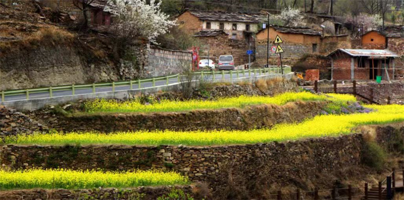 【原创】安阳林州：太行春日好风光_fororder_油菜花香景色美