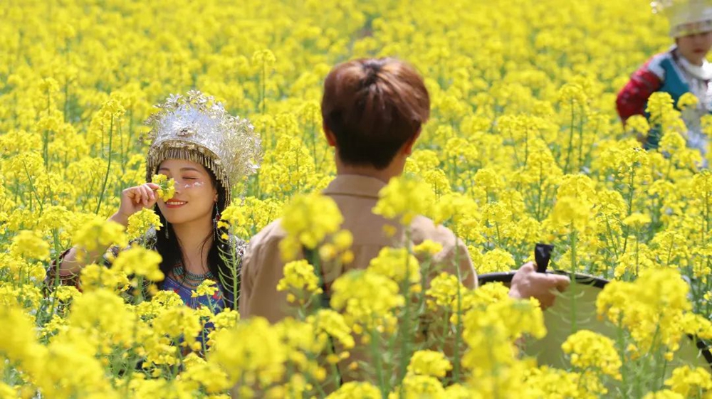 贵州西江千户苗寨：油菜花开春意浓 苗家姑娘入画中_fororder_微信图片_20230314151024