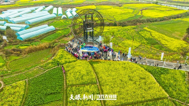 黔南贵定：金海雪山花开醉 赏春又遇好风光