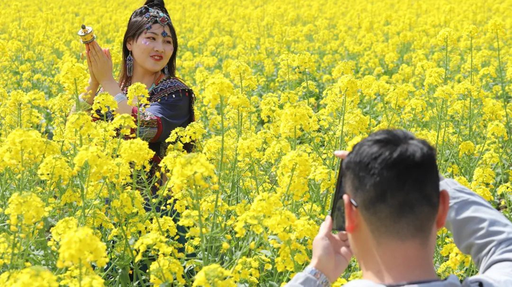 贵州西江千户苗寨：油菜花开春意浓 苗家姑娘入画中_fororder_微信图片_20230314151011