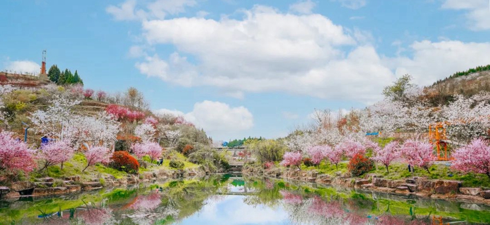 【多彩贵州•花漾中国】贵州遵义：“春日寻芳”踏青赏花好去处_fororder_微信图片_20230315115131