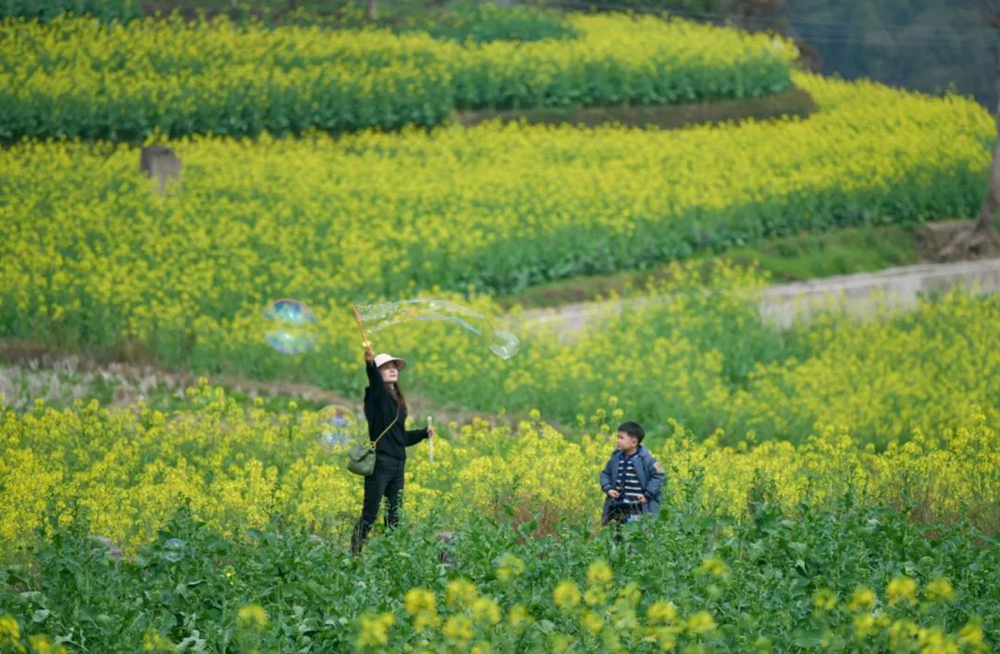 【多彩贵州•花漾中国】贵州遵义：“春日寻芳”踏青赏花好去处_fororder_微信图片_20230315115222