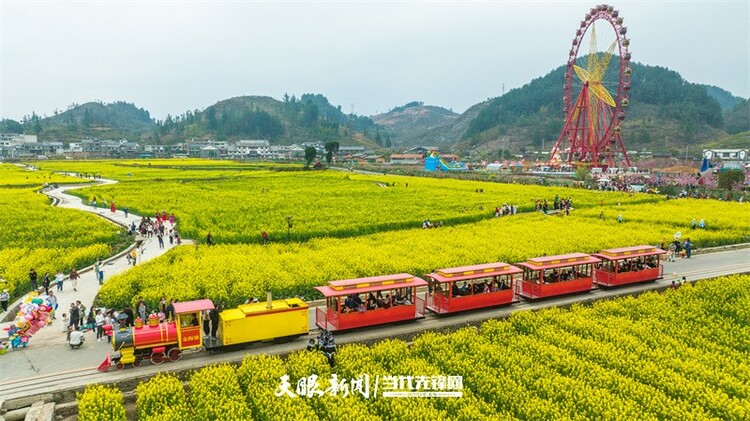 黔南贵定：金海雪山花开醉 赏春又遇好风光