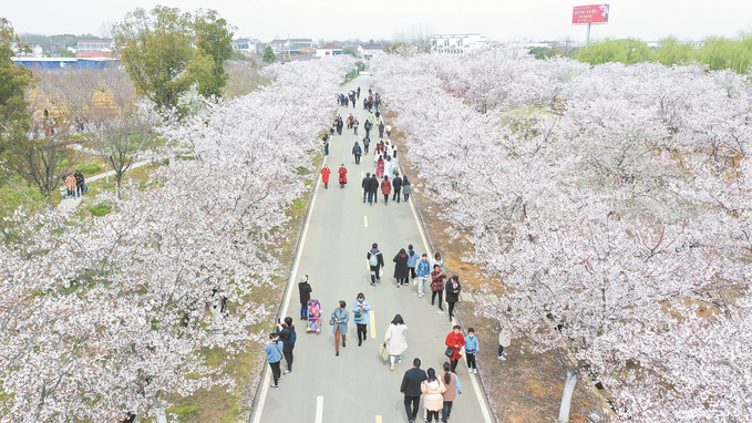 句容：打响茅山文化旅游节品牌 让每位游客找到“诗与远方”