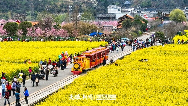 黔南贵定：金海雪山花开醉 赏春又遇好风光