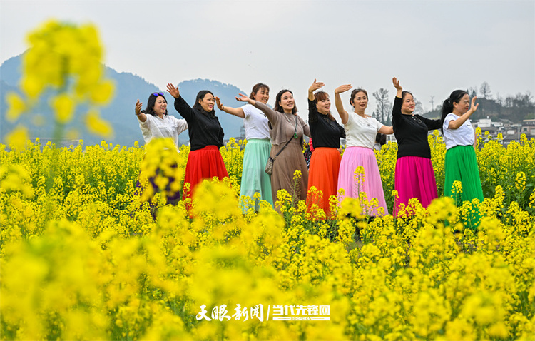 黔南贵定：金海雪山花开醉 赏春又遇好风光