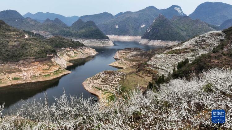 贵州开阳：乌江河畔花开景如画