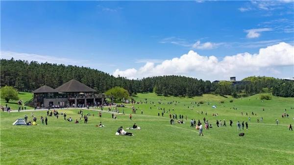 “长江三峡+武隆旅游”水陆大联游200人首发团抵达重庆武隆_fororder_图片2