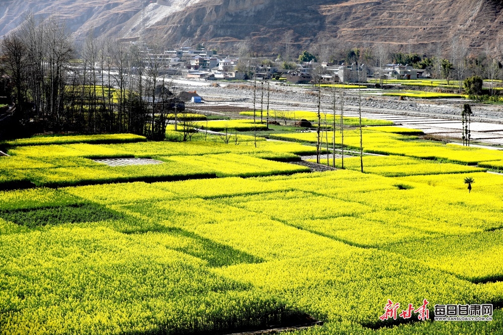 【轮播图】甘肃：丹堡河畔油菜花开 文县山乡移步皆画_fororder_00301697269_027f9962