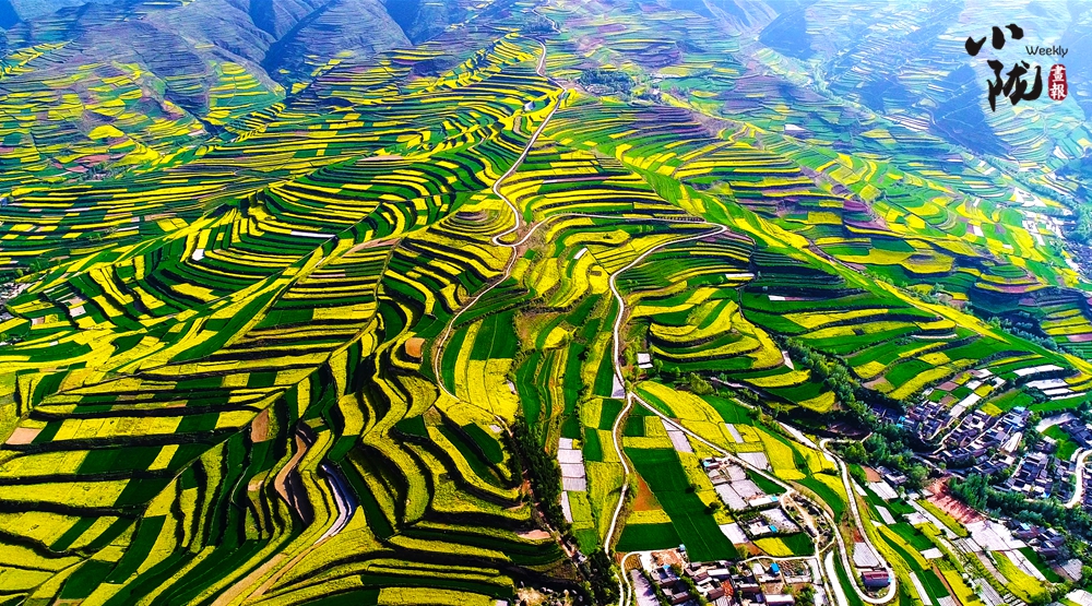 【转载】【乡村振兴专题】天水武山：绿水青山生态美 景色如画引客来_fororder_8