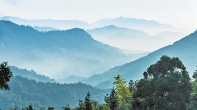 信阳罗山县生物多样性保护在联合国破局出圈探秘