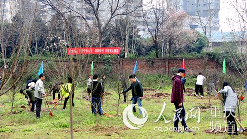 【聚焦重庆】重庆大学开展公益植树活动 师生共建绿色校园